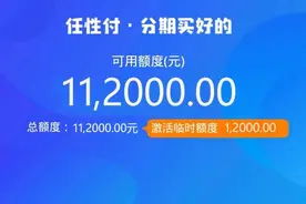 苏宁金融任性付提额又错过？了解几个技巧，额度飙涨！图片