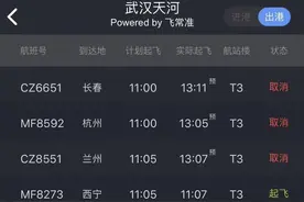 武汉“封城”，却还有航班起飞？航空公司这样回应图片