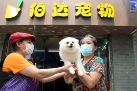 江苏苏州：“五一”假期宠物寄养生意火图片