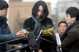 韩国财阀公主的耻辱之路图片