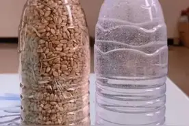 矿泉水到底有多暴利？曹德旺：利润吓死人，最大的成本是瓶子图片