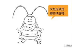 蟑螂的自白：人类是我最好的朋友图片