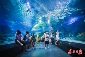 打卡海昌极地海洋世界 | 图集图片