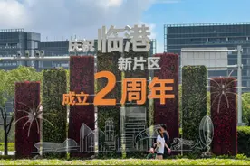 新片区：两年已是大不同图片