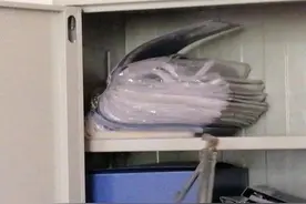 九江尚海湾等地再次有蛇出没，竟是国家一级保护动物图片