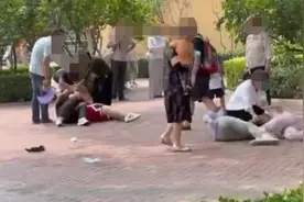 活久见！白天游客打架，夜晚动物们效仿，场面一度失控……图片