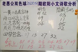 老愚公双色球2021054期《欧阳小文字谜》分析预测讲解图片