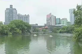 南昌八一公园湖面出现死鱼 散发阵阵臭味 市民担心水质被污染图片