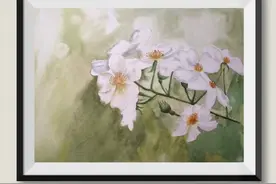 零基础入门画水彩：十大凄美之花之荼蘼花，简单易画图片