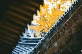 倘若没有虫鸣，秋天该是多么无趣图片