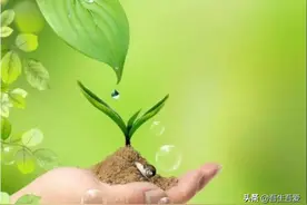 我不认识你，但我谢谢你图片