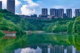 水草摇曳、鱼翔浅底……两江新区：让绿色成为高质量发展的底色图片