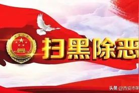 扫黑除恶聚焦 | 安徽“刘氏兄弟”落网记图片