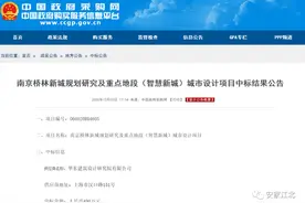 总投资177亿！8所中小学！路网升级！江北这里启动大规模开发图片