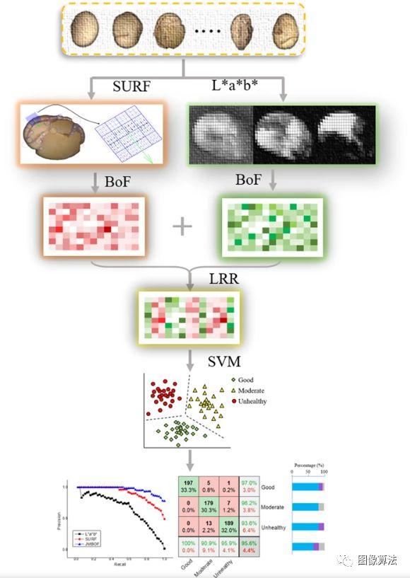 基于机器视觉技术快速准确地确定收获后干大豆种子的品质