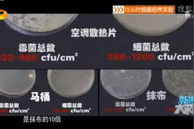 这些不以为意的物品是“细菌聚集地”，我们每天都在用图片