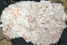 假石太岁泛滥成灾，对人体伤害巨大图片