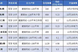 5.3万！沙井开出年度最高价，海岸城开盘还得等图片