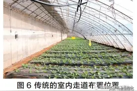 “大棚房”拆了！遗留的问题怎么办？这些问题值得深思图片