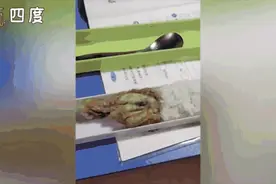把最好吃的饭菜带给妈妈，是个小暖男没错了图片