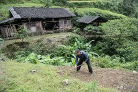 儿子出走16年不回家，80岁老人孤身隐居山沟，过着与世无争的生活图片
