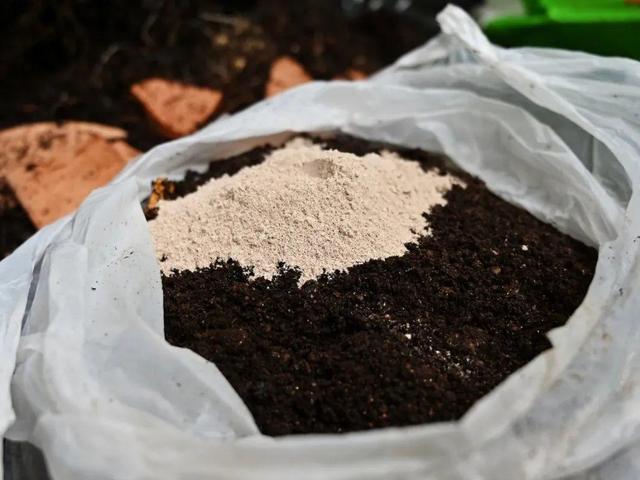 养分含量超高的营养土，自己在家也能做，省下一大笔 买花钱