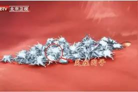 这些炎症可能比癌症更可怕，发病快、致死率高图片
