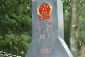 江城：花生长在大树上图片