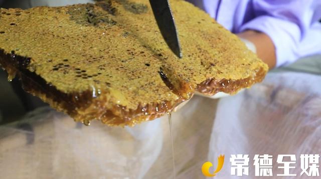 桃源乌云界：白云生处养蜜蜂，年产值达70万元