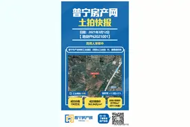 1700万底价成交！普宁两地块成功出让，楼面价仅三位数图片