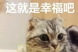 在单位组织的篮球赛中受伤，可以认定工伤吗？图片