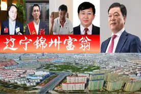 辽宁锦州浮现5位富翁，1人身价百亿？4家企业上榜辽宁民企百强图片