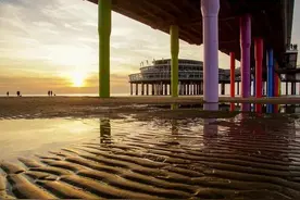 荷兰冷知识10则：荷兰猪不是猪？产地也不是在荷兰？图片