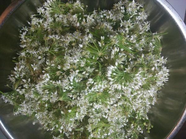 这才是韭菜花的正确腌制做法，味道鲜美好吃，方法超简单