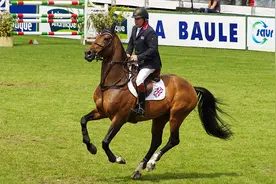 马的精液为什么能卖到120万美元1升？种马的基因优势有这么明显？图片