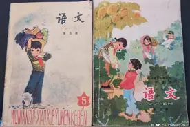 70后难忘的老课文《寒号鸟》《爬山虎的脚》《神笔马良》等图片