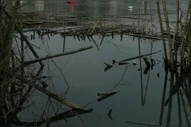 南宁这里是个钓鱼的好地方图片