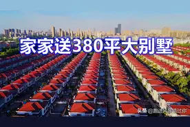 江苏低调的富豪村，家家送380平大别墅，他们为何如此富有？图片