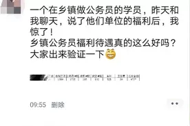 一个广西基层公务员的工资条图片