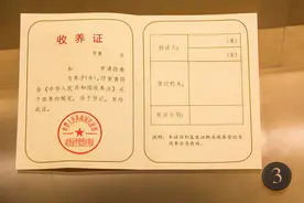 当初遗弃我的人啊，养母教我以德报怨图片