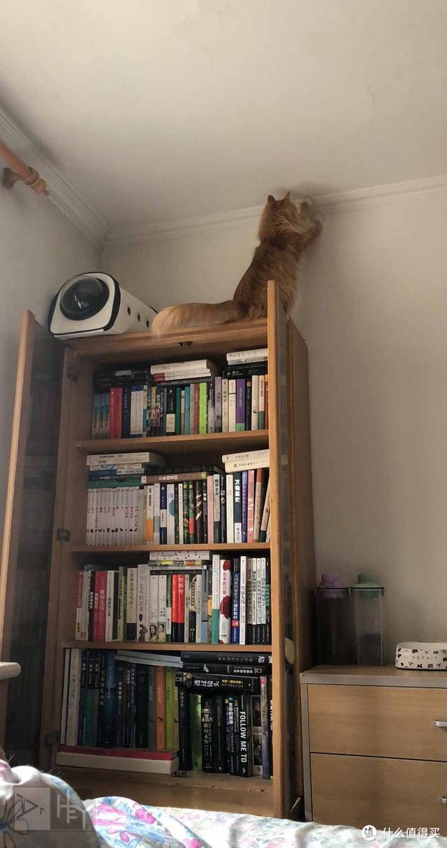 ����1400+�����ϱ�����Ƽ��鵥 ��800��С˵��������������ʮ��