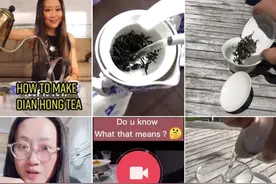中国茶走红海外，千万网友在TikTok品茶香图片
