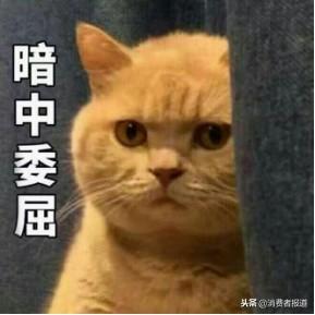 8款睡眠面膜对比：雪花秀综合得分高；1款使用了争议防腐剂！