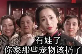 老婆怀孕，家里人逼我把宠物送走咋办？图片