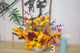 五袋果插法分享图片