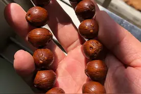 这些手串，看着不值几个钱，没想到一瞅价格，那贵得吓人图片
