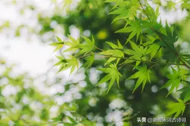若问此愁深浅，天阔浮云远图片