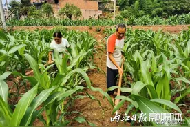 残疾夫妻： 用勤劳双手谱写“脱贫曲”图片