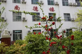 西安这些公办初中9月前将有巨大变化——西安市第四十四中学图片