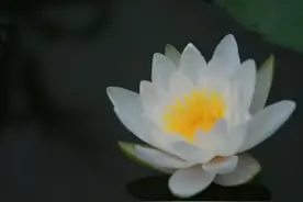 人过五十，生命里出现这几件事，多半是你自己埋下的祸根图片